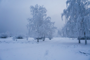 Similar image 21241114