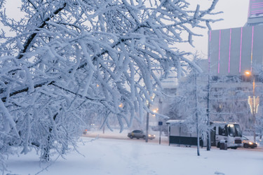 Similar image 21227839