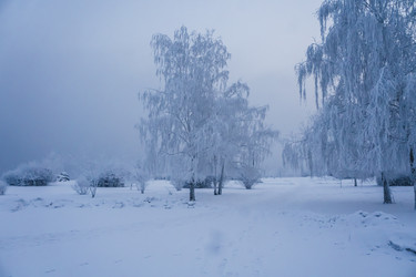 Similar image 21241118