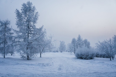 Similar image 21227840