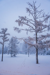 Similar image 21241120