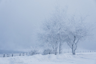 Similar image 21241121