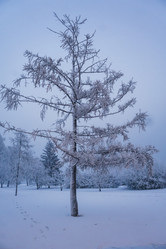 Similar image 21227842