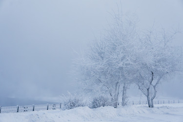 Similar image 21241006