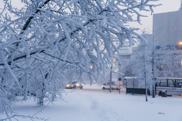 Similar image 21227843