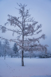 Similar image 21227854