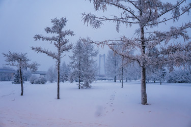 Similar image 21227858