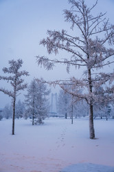 Similar image 21227861