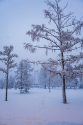 Similar image 21227863