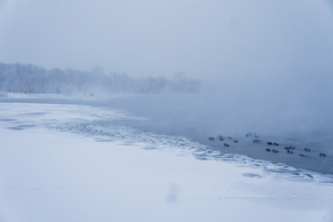 Similar image 21228118