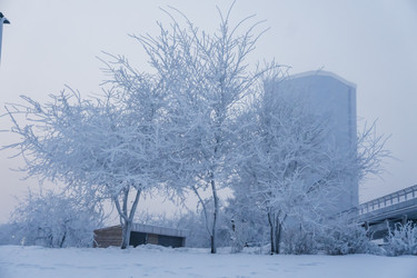 Similar image 21228126