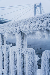 Similar image 21228134