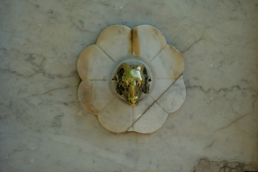 Similar image 21223809