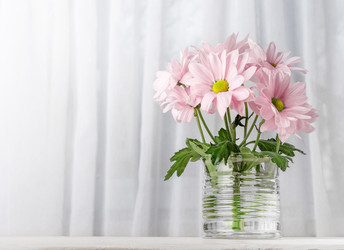 Similar image 21223408