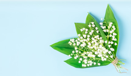 Similar image 21223411