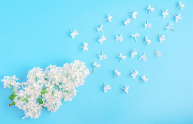 Similar image 21223414