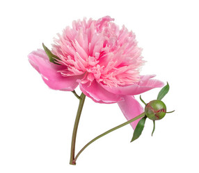 Similar image 21223284