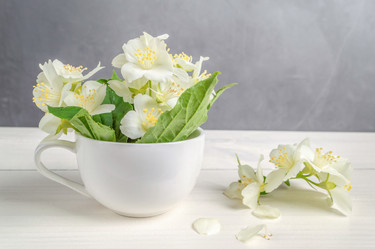 Similar image 21223285