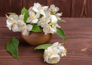 Similar image 21223286