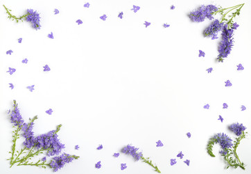 Similar image 21223288