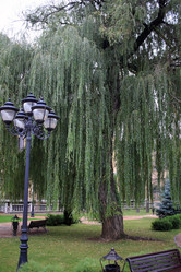 Similar image 21224369