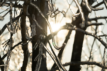 Similar image 21223639