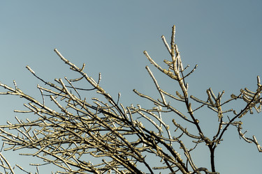 Similar image 21223640