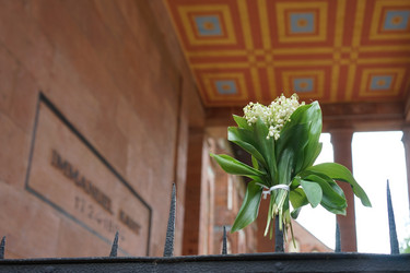 Similar image 21223837