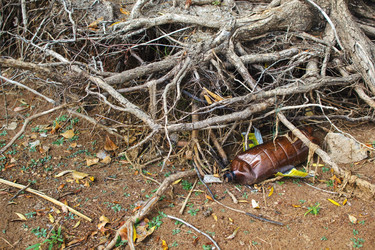 Similar image 21225627