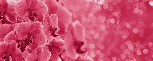 Similar image 21228947