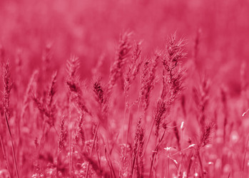 Similar image 21228952