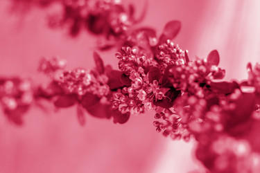 Similar image 21228955