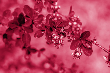 Similar image 21228958