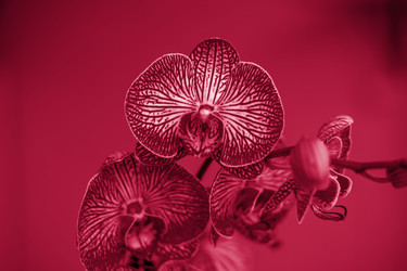 Similar image 21228960