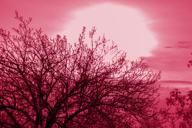 Similar image 21228964