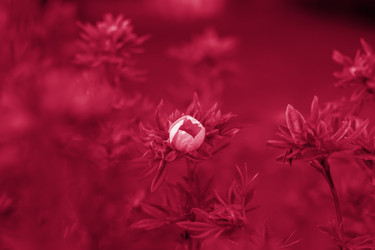 Similar image 21228965