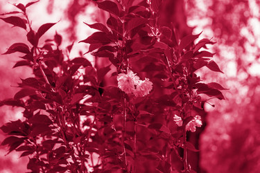 Similar image 21228966