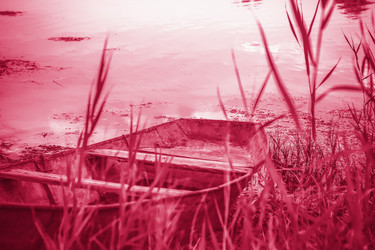 Similar image 21228968