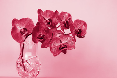 Similar image 21228971