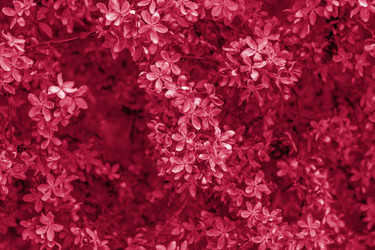 Similar image 21228979