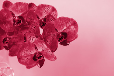 Similar image 21228980