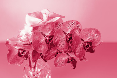 Similar image 21228984