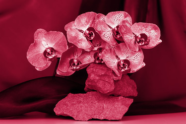 Similar image 21228986