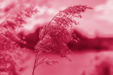 Similar image 21228987