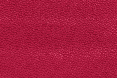 Similar image 21228989