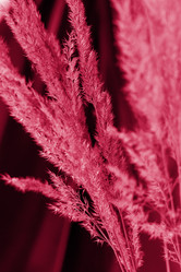 Similar image 21228990