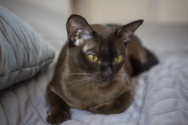 Similar image 21228997