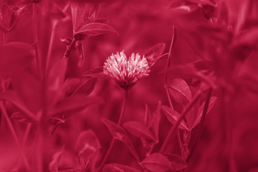 Similar image 21228998