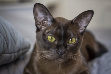 Similar image 21228999