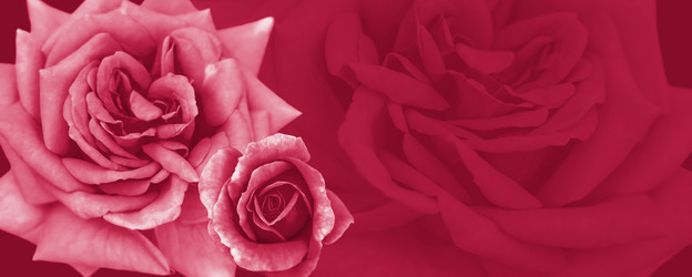 Similar image 21229004